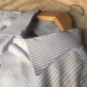 Robert Talbott 18.5-36 Blue & White Stripe Shirt
